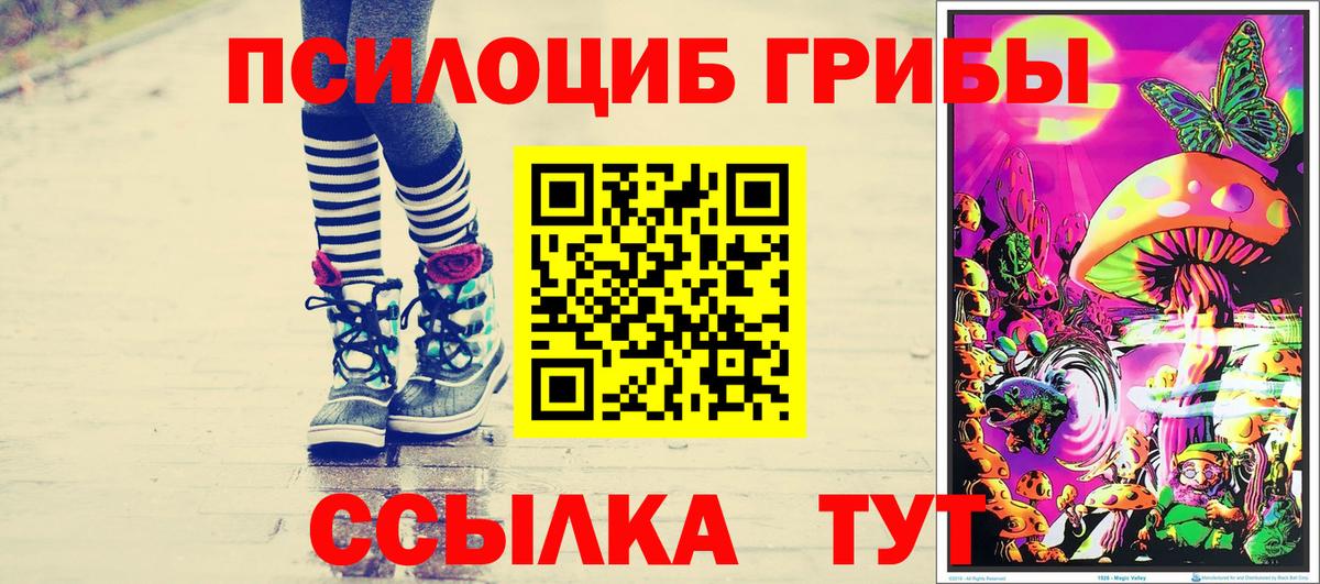 Галлюциногенные грибы Magic Shrooms Ставрополь