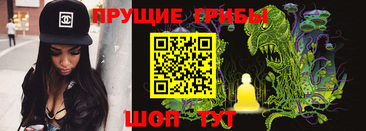 Ставрополь  Галлюциногенные грибы ЛСД  Галлюциногенные грибы мицелий  Вход с VPN 